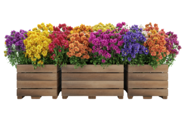 A vibrant display of colorful flowers arranged in wooden planters, showcasing a mix of hues including purple, yellow, orange, and pink.