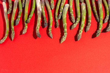 Green asparagus on red background. Vegetable orcanic food top view. Sprouts stems. Copy spase.