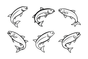 Obraz premium trout fish design, labeled line art vector silhouette illustration.