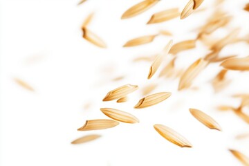 A bunch of oats floating in the air