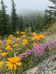 Obraz premium Flowers and spiderwebs in a misty forest landscape