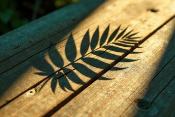 Serene Shadow of a Leaf on Weathered Wooden Planks in Sunlight