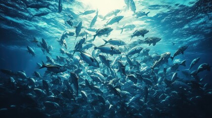Fototapeta premium A large group of fish swims gracefully beneath the surface of the clear blue ocean. Sunlight filters through the water, creating a serene underwater ambiance