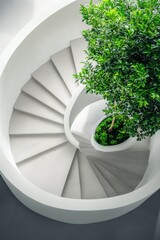 Fototapeta premium Spiral Staircase with Potted Plant,