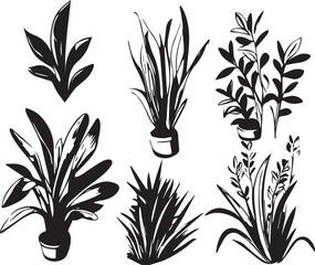 Set plants. Hand drawn vector illustration