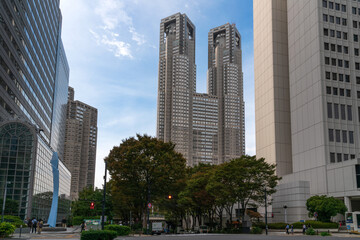 Fototapeta premium View of the Tokyo Metropolitan Government Building in the Shinjuku area from the street Fureai-dori Ave on a sunny autumn day, Tokyo, Japan