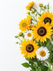 Obraz premium Bright sunflowers and daisies with lush green leaves on a white background.