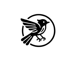 Acadian Flycatcher Bird Logo Design Icon Template