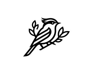 Acadian Flycatcher Bird Logo Design Icon Template