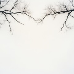 Fototapeta premium Silhouetted bare tree branches stretch across a muted sky, creating an artistic and minimalist composition, This image can be used for nature-related projects, background settings, or seasonal themes