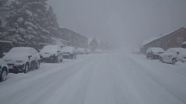 Snow Storm on the Road, Silent Blizzard in Motion, Winter Snowfall, Video, Generative AI