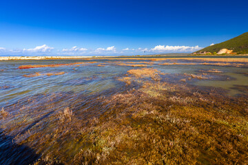 Krajobraz letni, grecka wyspa Lefkada, niebieski kolor, relaks i wypoczynek, Morze Jońskie, tło do projektu, tapeta © anettastar