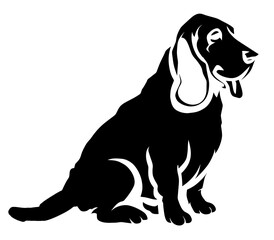spaniel dog