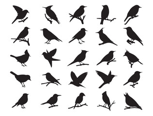 collection of 20 black bird silhouettes in various poses clipart design