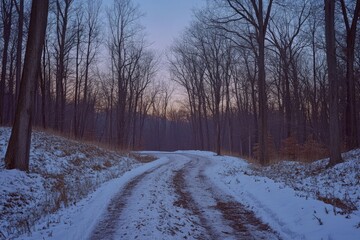 Obraz premium Snowy Forest Dirt Road
