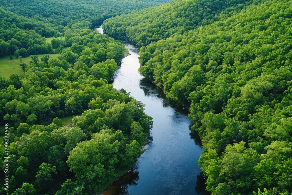 Canvas Prints River runs through lush green forest