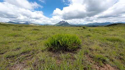 Fototapeta premium Grassland vista, mountain backdrop, sunny day, travel poster