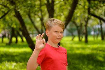 Fototapeta premium Portrait of a beautiful Caucasian boy who looks into the camera, against the background of garden.