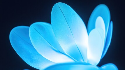 Glowing blue petals, close-up, dark background, abstract art
