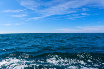 Landscape A close-up view of the ocean with foamy waves crashing against the water's surface.