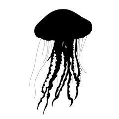 jellyfish silhouette on white background vector © zolotons