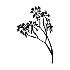 savanna tree, vector sketch