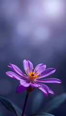 Fototapeta premium Website banner or greeting card idea of beautiful purple flower, isometry. isolated with white shades
