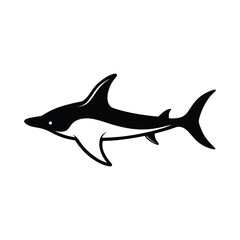 shark vector illustration