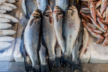 Fresh fish sea bass on ice for sale at a fish market in Izmir, Turkey
