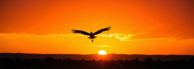 Bird in flight against a sunset background