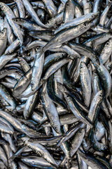 Obraz premium Background of anchovies on the fish market close-up vertical