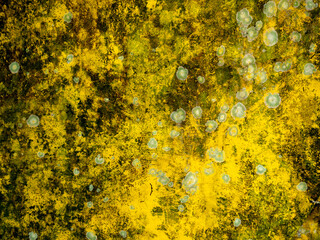 Textured Overlay for Design nUnique Background for Mockups