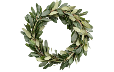 The Timeless Wreath of Olive and Laurel Branches Isolated On Transparent Background.