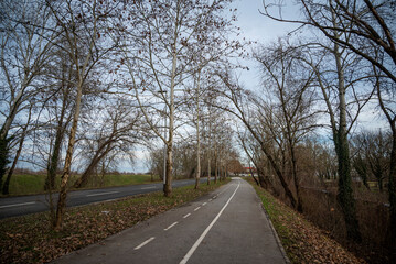 Deserted street and a tree avenue, Zagreb, Croatia