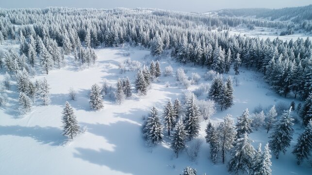 A tranquil winter landscape of snow-covered pine trees - Powered by Adobe