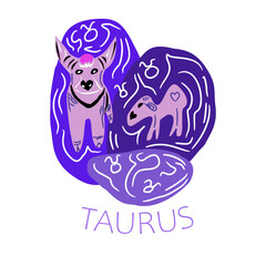 Vector abstract hand drawn illustration of Taurus zodiac sign Taurus sign, horoscope, zodiac sign. Color harmony, hand drawn elements.