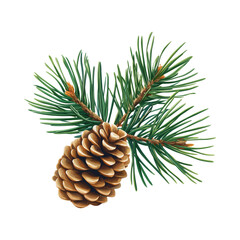 Fototapeta premium Pine cone with pine branches on transparent background perfect for holiday and nature-themed digital designs
