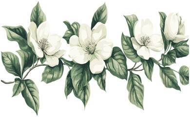 Magnificent vintage engraving of 2010s Magnolia, featuring soft white petals and rich green leaves, crafted with elegance and style
