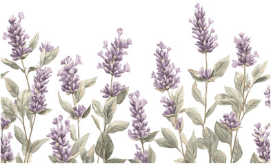 Naklejka premium Soft purple lavender blooms with green foliage, captured in a classic engraving style, evoking the timeless beauty of the 2020s.