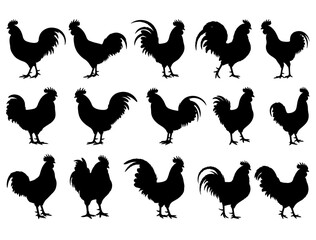 ROOSTERS SILHOUETTE ON WHITE BACKGROUND