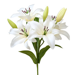 Fototapeta premium bouquet of lilies