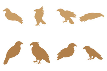 Eagle Silhouette Icon Set