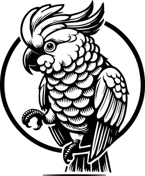 black and white cockatoo portrait in circle clip art preview