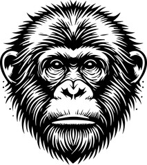 Ape icon 