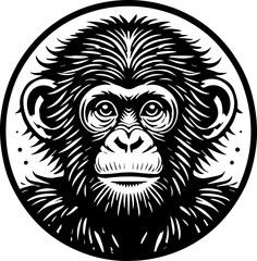 Obraz premium Ape icon 
