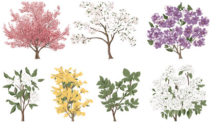 Black and white vintage illustration featuring blooming trees in a spring set, showcasing detailed botanical elements with artistic precision.