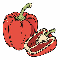 illustration of red pepper