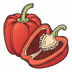 illustration of a pepper