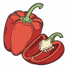 illustration of red pepper