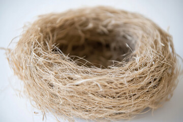 Fototapeta premium Close-up of an empty bird nest, symbolizing species loss and the impact on ecosystems